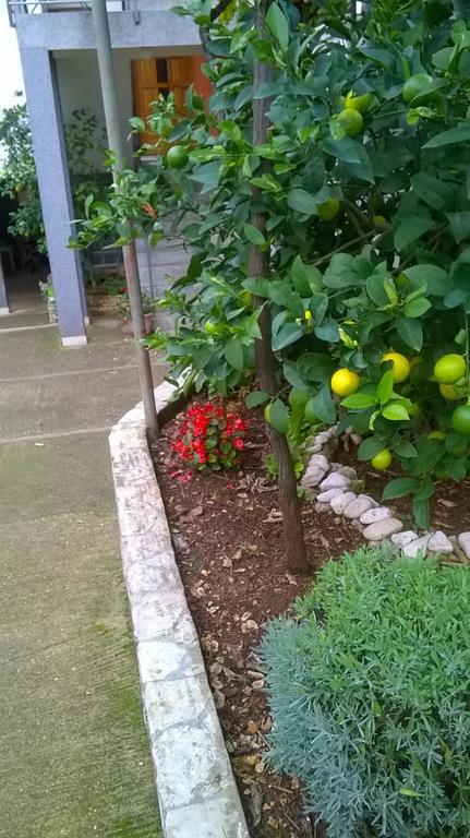 Apartment Anny Πούλα Εξωτερικό φωτογραφία