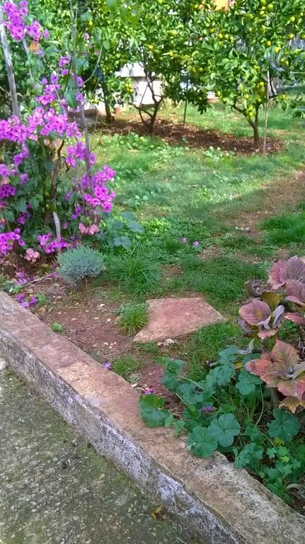 Apartment Anny Πούλα Εξωτερικό φωτογραφία
